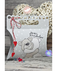 Paul(a) (Freundschafts) Bär DIGIs