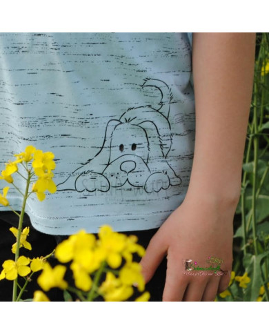 Hubert(a) Hund mit Ballon PLOTT Hubert(a) Hund mit Ballon PLOTT