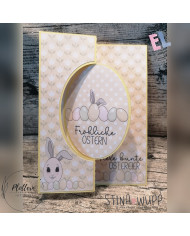 Eiertanz DIGIs PLUS Eiertanz DIGIs PLUS