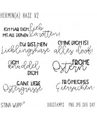 Hermin(a) Hase DIGIs