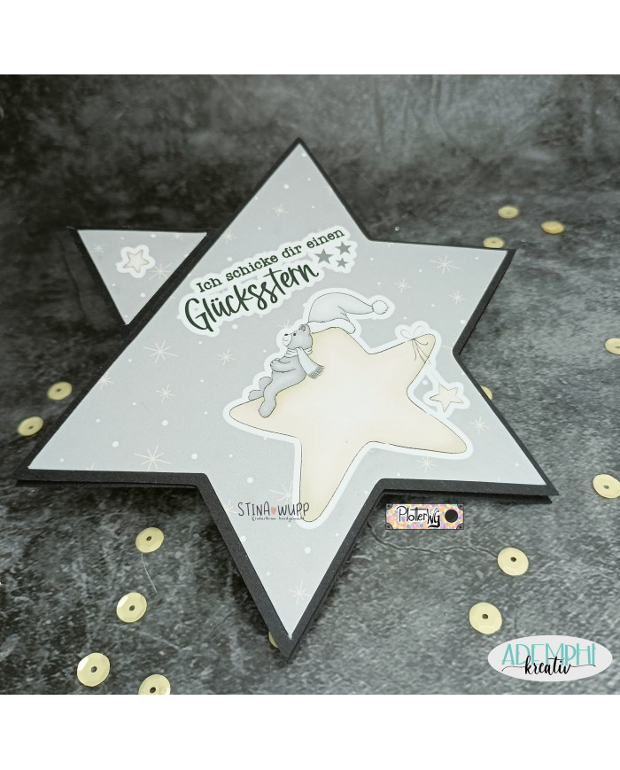 Paul(a) Bär Sternegucker DIGIs