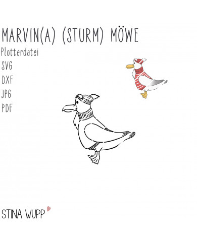 Marvin(a) (Sturm)Möwe PLOTT