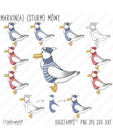 Marvin(a) (Sturm) Möwe DIGIs PLUS Marvin(a) (Sturm) Möwe DIGIs PLUS