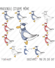 Marvin(a) (Sturm) Möwe DIGIs PLUS Marvin(a) (Sturm) Möwe DIGIs PLUS