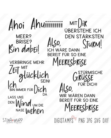 Marvin(a) (Sturm) Möwe DIGIs PLUS Marvin(a) (Sturm) Möwe DIGIs PLUS