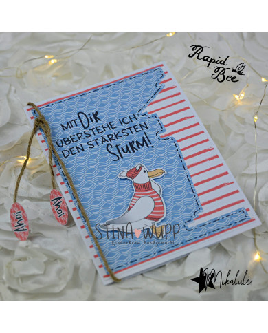 Marvin(a) (Sturm) Möwe DIGIs PLUS Marvin(a) (Sturm) Möwe DIGIs PLUS