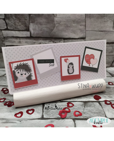 Isidor(a) Igel DIGIs PLUS Isidor(a) Igel DIGIs PLUS