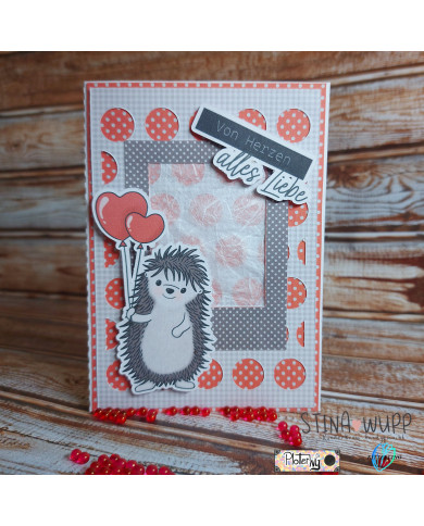 Isidor(a) Igel DIGIs PLUS Isidor(a) Igel DIGIs PLUS